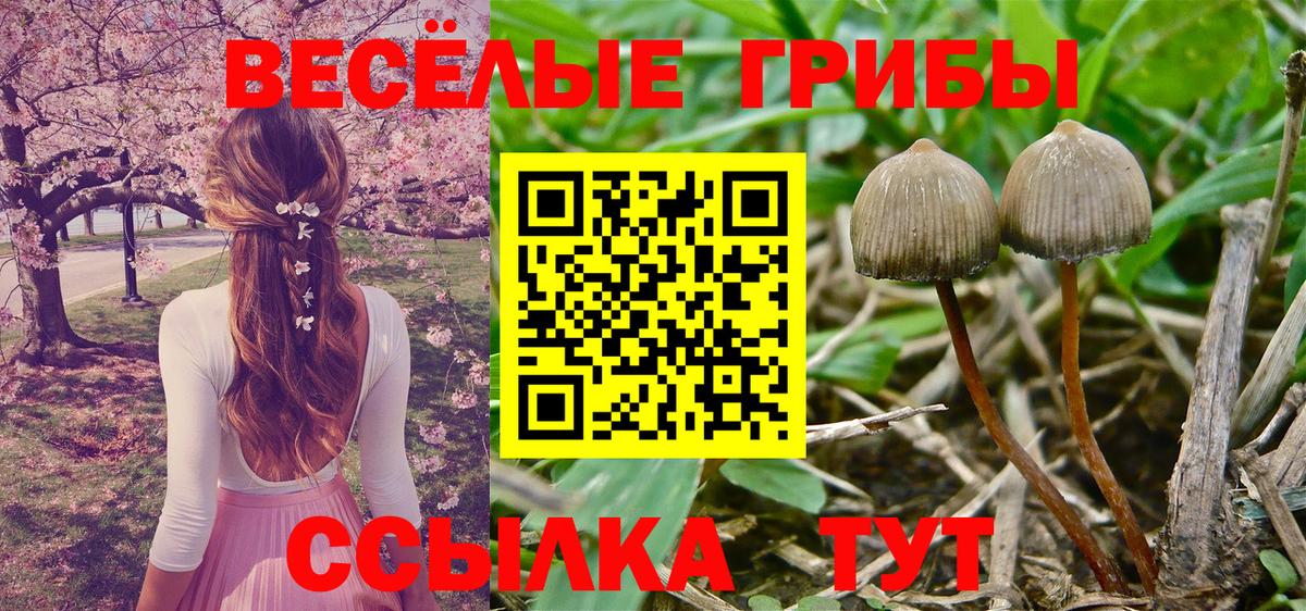 Галлюциногенные грибы MAGIC MUSHROOMS Кстово
